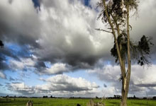 雷火电竞中国-西雅图海湾者队长激励全队，挑战强敌士气高昂