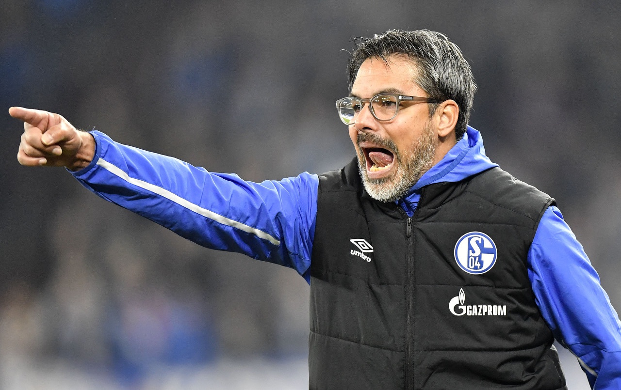 雷火电竞亚洲先驱-沙尔克陷入连败泥潭，球队寻求突围之道的简单介绍