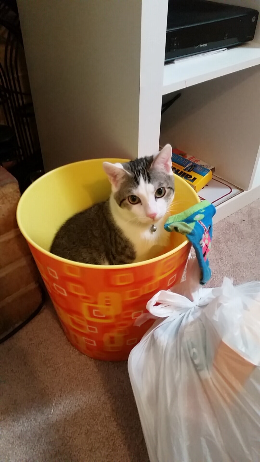 雷火电竞简介-逆袭之夜，关键先生诞生！上海队横扫魔术，杰伦·格林写就英雄传奇