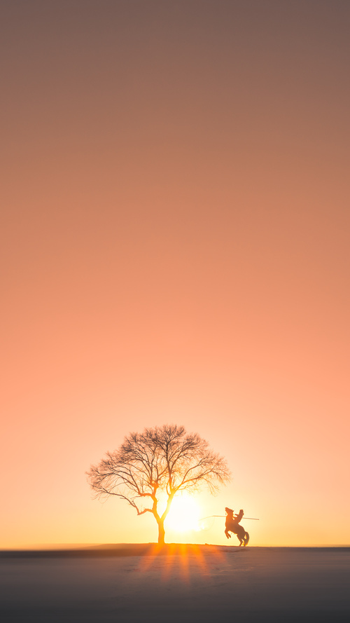 铁幕降临王子公园，佩德里如何用防守的艺术锁死加拿大