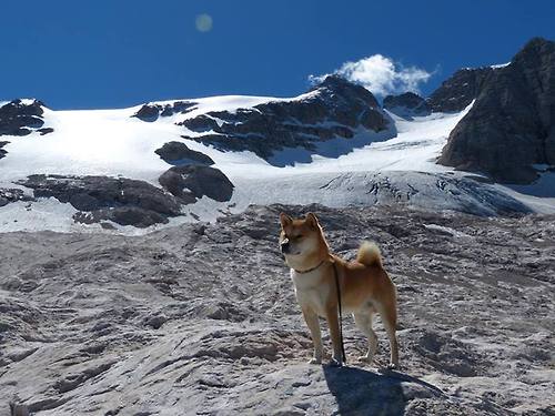 雷火电竞app-一剑封喉！莱万之夜上演统治级表演，王者之心如何一手掌控年度焦点之战？