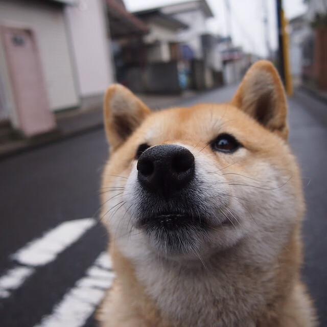 硬仗的两种面孔，黄喜灿的封王之路与伊拉克的逆袭哲学