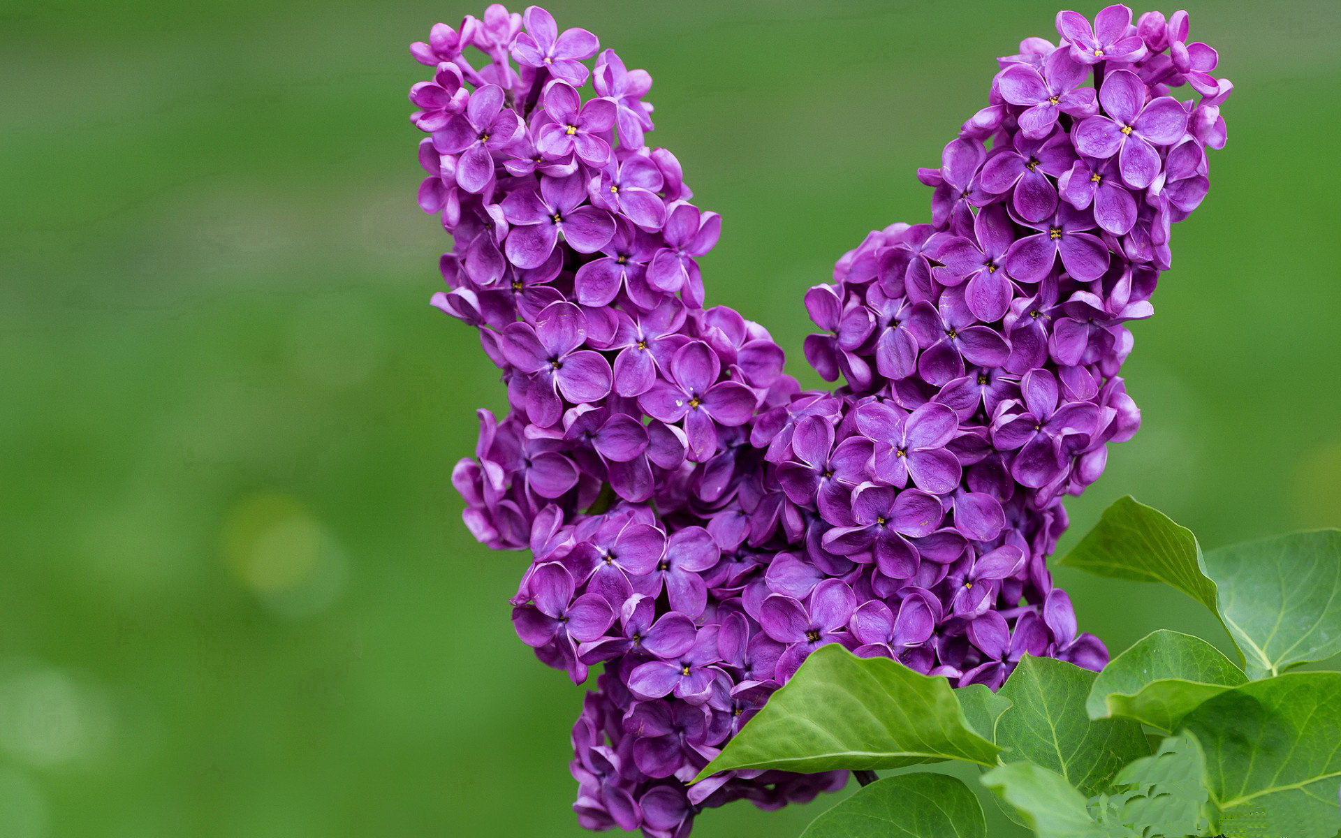 雷火电竞app-金色轰炸机撞上钢铁防线，阿坎吉只手擎天，哥伦比亚风暴速胜勒沃库森！