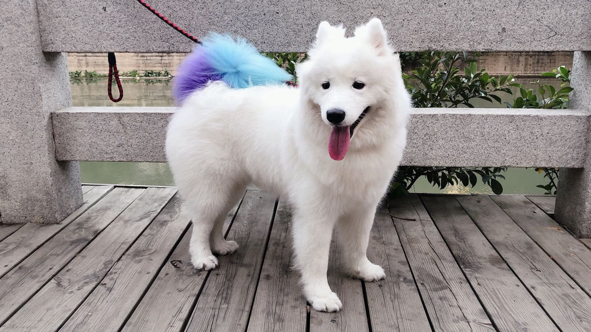 双重惊奇，比利亚雷亚尔战术窒息北欧海盗，基米希逆境打出封神一战