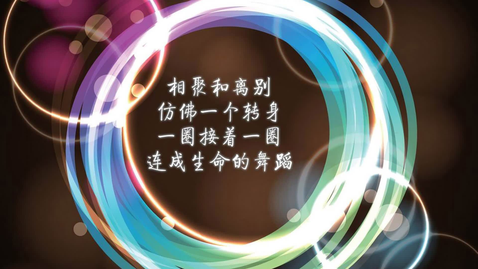 2026世界杯D组生死战,哥斯达黎加血色风暴横扫美国,C罗领衔锋线绝地反击