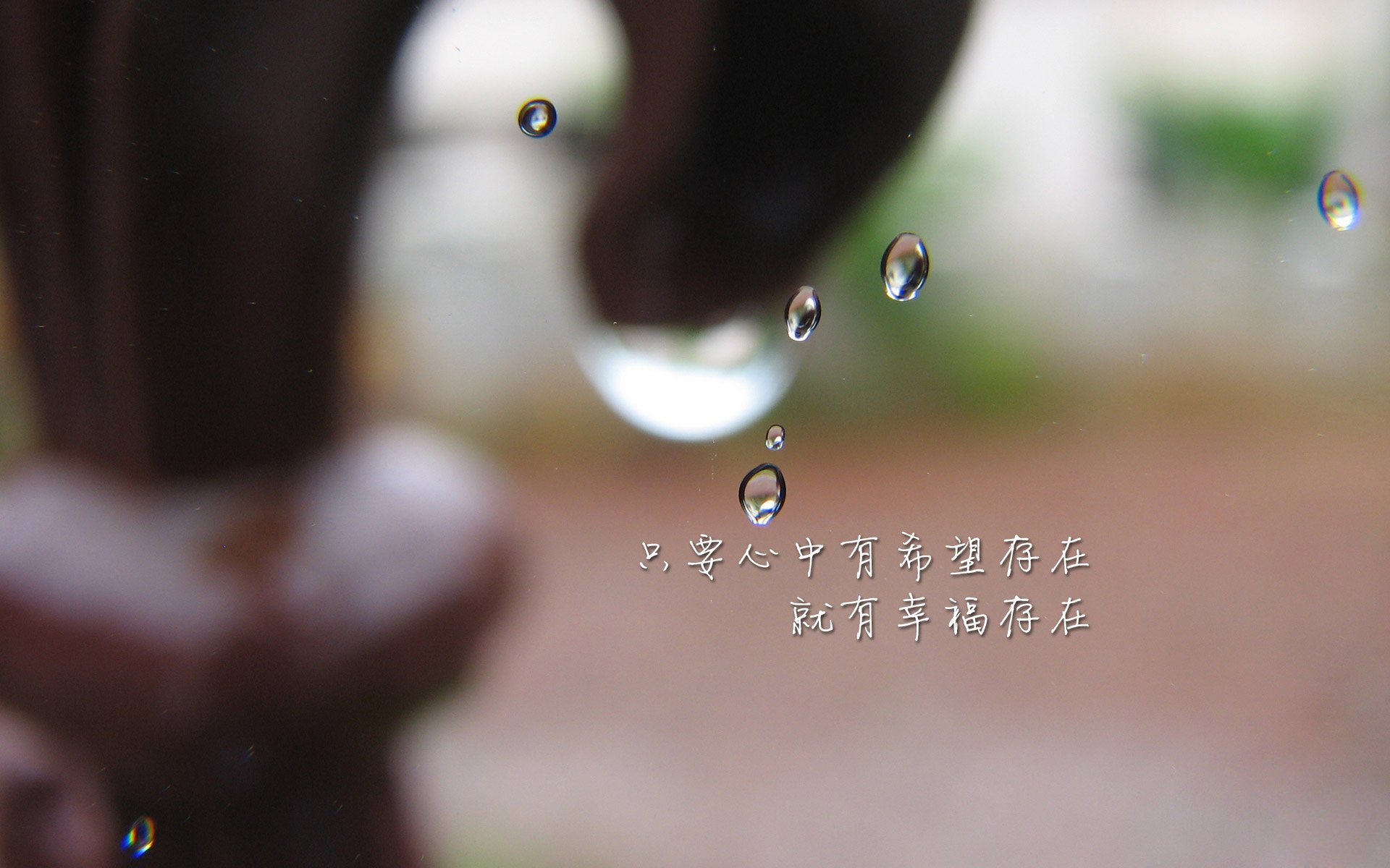 宿命轮回,2026世界杯历史重演焦点战,伊朗完胜厄瓜多尔,迪亚斯用节奏掌控书写唯一剧本
